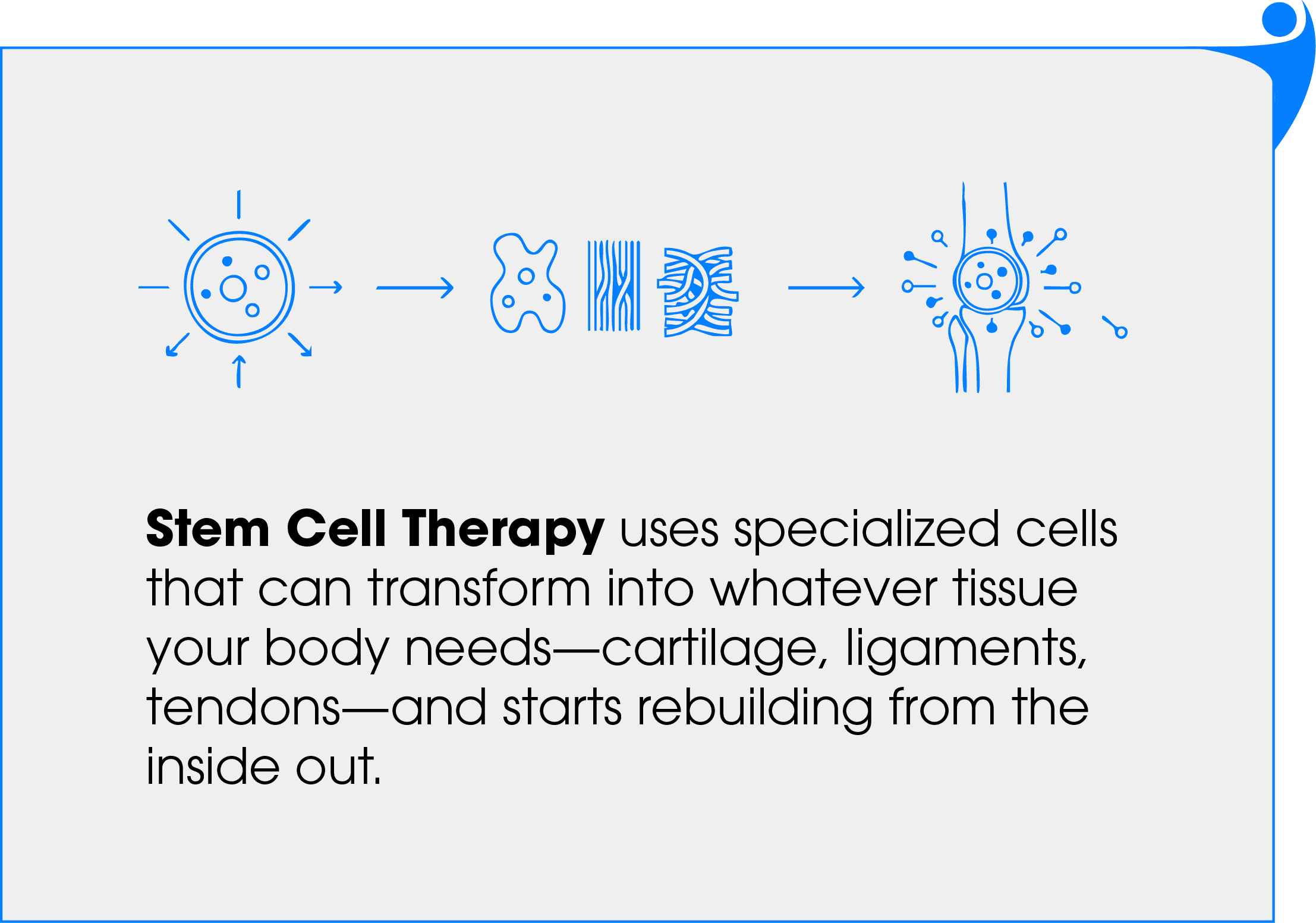 (20251031) Atlas Chiropractic_Website update (Regenerative Medicine)-21